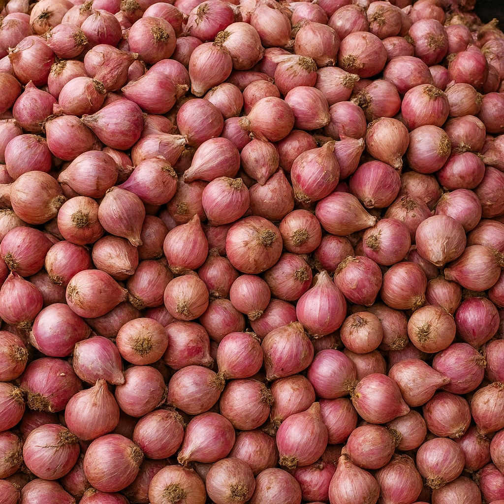 Onion Deshi (মুড়ি কাটা পেঁয়াজ) /পিয়াজ